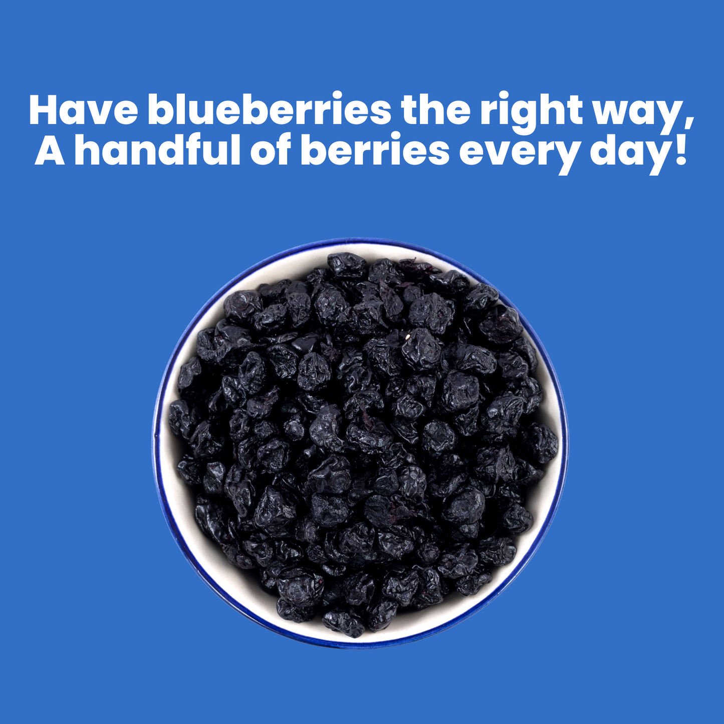 Premium Dried Blueberries - 200g Pouch - Imported Whole Blueberries